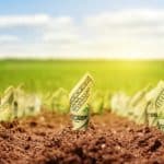 האלטרנטיבות לניהול כספים נזילים מעל 300,000 ש”ח