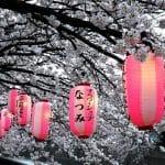 כלכלת יפן: פריחת הדובדבן בארץ השמש העולה