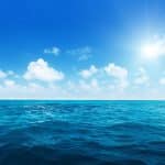 עולם ההשקעות הוא אוקיינוס מלא הזדמנויות- במה אתם בוחרים?