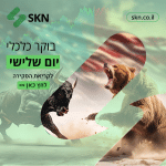 בוקר כלכלי 19.11.2024 איך נסגרו מדדי העולם ב-18 בנובמבר 2024