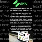 האם “שבע הגדולות” ממשיכות לשלוט בשוק? ניתוח ביצועים, שווי שוק ותחזיות להמשך 2025