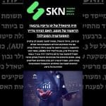 תיק סיטאדל של קן גריפין ברבעון הראשון של 2025: האם הגיוון עדיין האסטרטגיה המובילה?