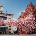 יועץ בבנק המרכזי של סין קורא לתמריץ של 209 מיליארד דולר להתמודדות עם השפעת המכסים