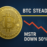 SKN | הנתק הכואב של מיקרוסטרטג’י: הביטקוין מחזיק מעמד – אבל המניה מתרסקת