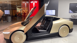 SKN | האם חזון הרובוטאקסי של טסלה חזק מספיק כדי להתגבר על חששות בועת ה-AI?