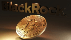 SKN | קרן ה-Bitcoin של BlackRock מתמודדת עם משיכות שיא של 2.7 מיליארד דולר כאשר משקיעים מעריכים מחדש את החשיפה לקריפטו