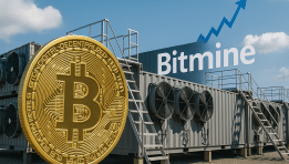 SKN | האם הראלי המתפרץ של ביטמיין מסמן שלב חדש בהשקעות בתשתיות דיגיטליות?