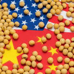 SKN | האם חזרת סין לשוק הסויה האמריקני תשנה את תחזית החקלאות העולמית?