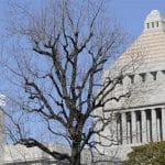 SKN | האם סוחרים זרים הופכים את שוק האג”ח של יפן למנוע תנודתיות עולמי?