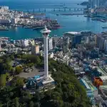 SKN | סקירה שבועית של KOSPI: המדד חוצה את רף 6,000 היסטורי, מסיים את השבוע בעלייה של 6.8% למרות מכירות זרות שיא