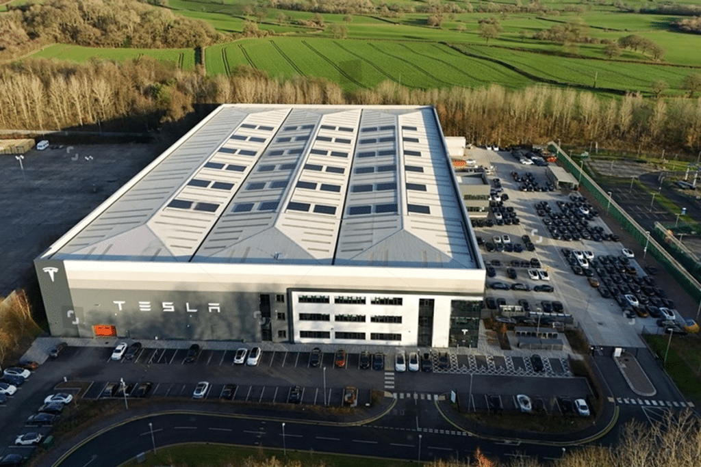 SKN | קניית טסלה ב-17 דולר ב-2010: מה החזקה של 15 שנה מלמדת על ריבית דריבית, תנודתיות ויצירת עושר