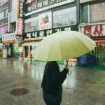 SKN | כיצד מדד KOSPI Composite השיג עלייה שבועית מרשימה של 6.60% למרות תיקון קל ביום שישי?