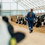 SKN | פונטרה מודה כי תווית “Grass-Fed” עלולה להטעות צרכנים בעקבות אתגר משפטי של גרינפיס