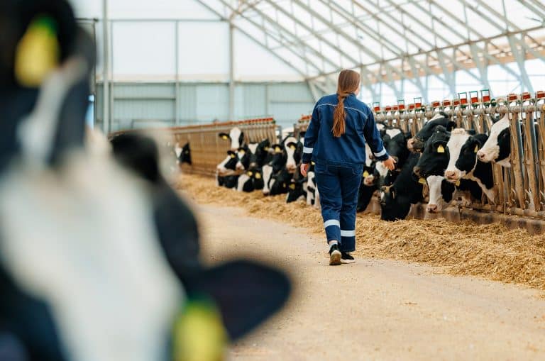 SKN | פונטרה מודה כי תווית “Grass-Fed” עלולה להטעות צרכנים בעקבות אתגר משפטי של גרינפיס